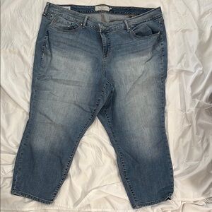 Torrid Blue Cropped Ankle Jeans